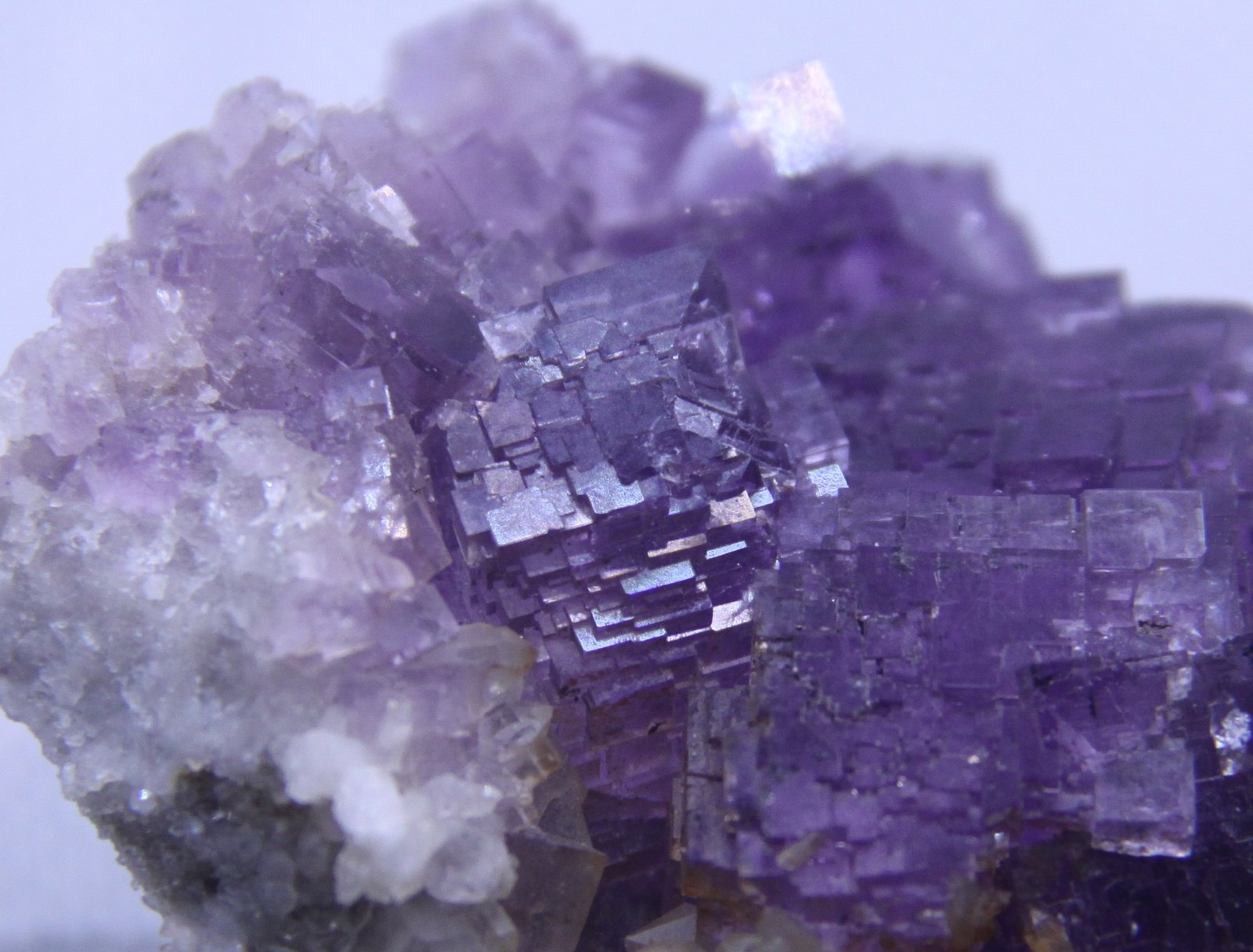 Fluorite and Quartz
Detail
(Autor: Firmo Espinar)
