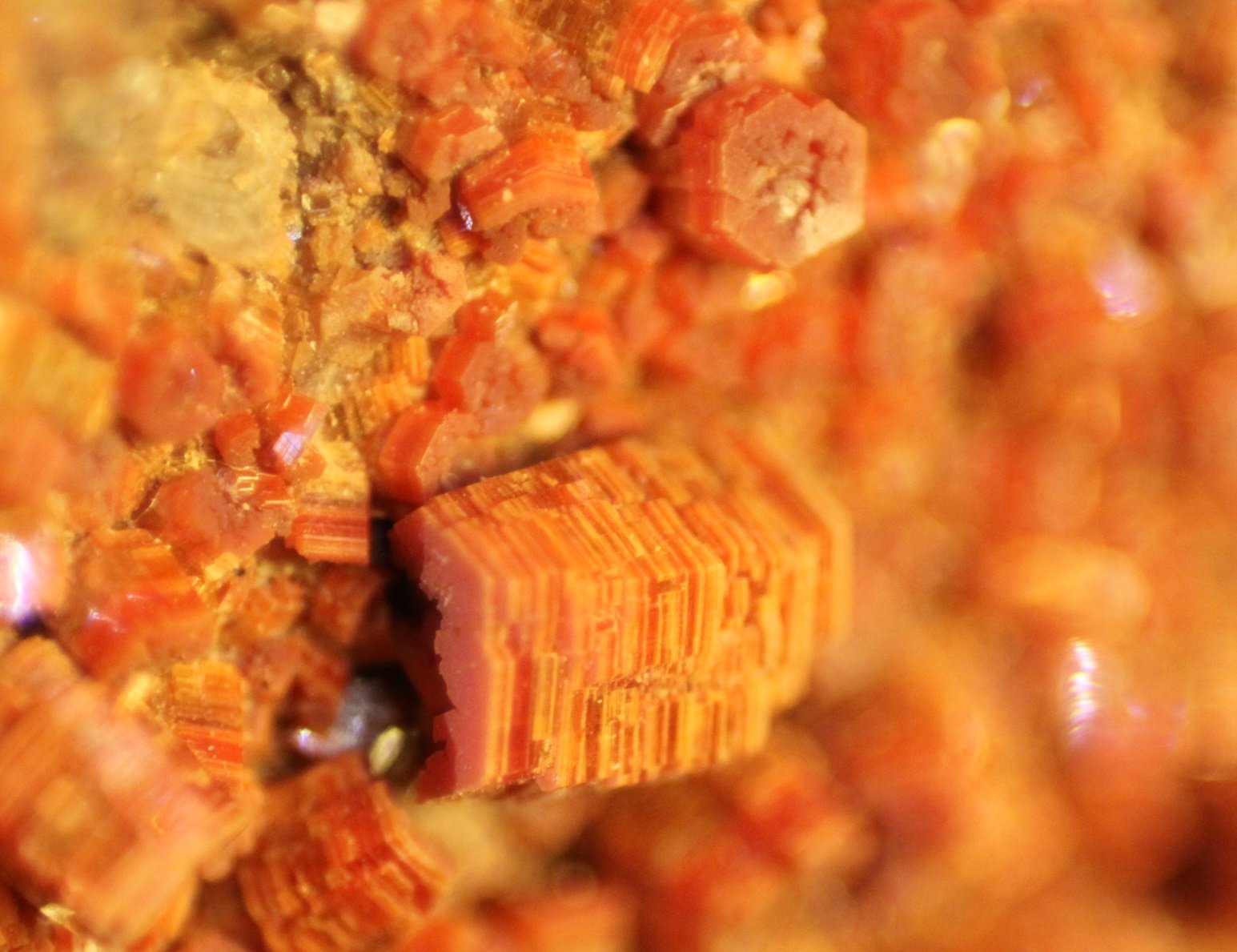 Vanadinite
FOV 9 mm
(Autor: Firmo Espinar)