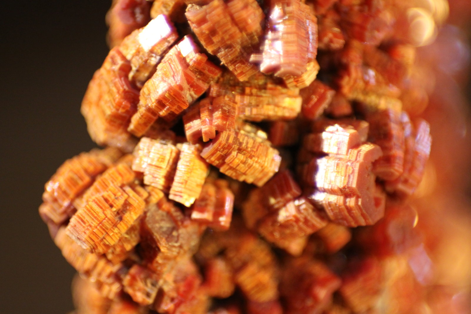 Vanadinite
FOV 30 mm
(Autor: Firmo Espinar)