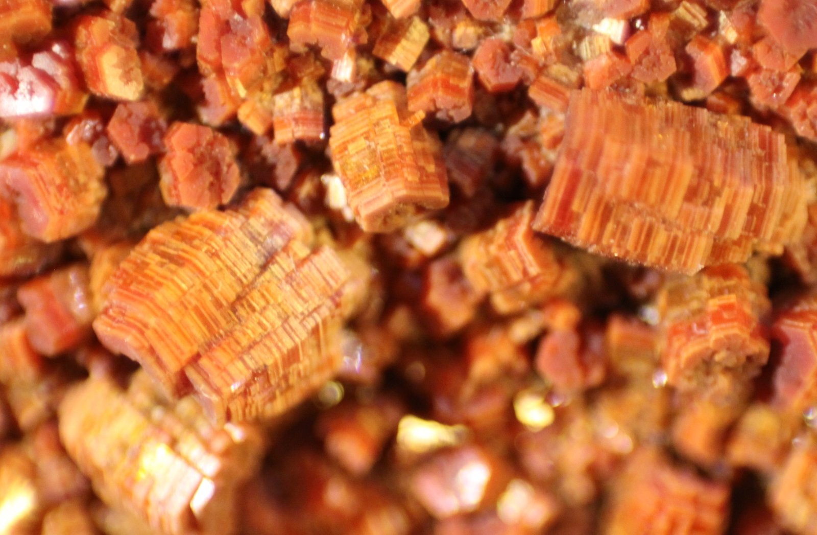 Vanadinite
FOV 9 mm
(Autor: Firmo Espinar)