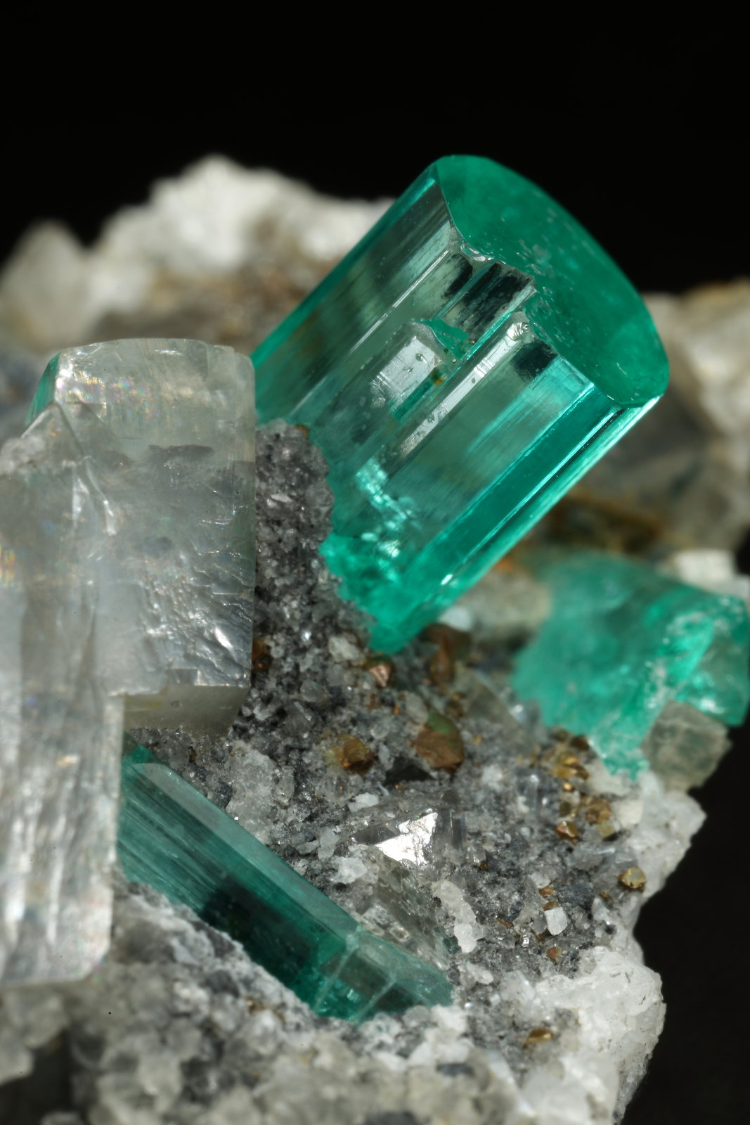 Beryl (variety emerald), Albite (variety cleavelandite), Dolomite, Pyrite
32mm across, main xl=9mm
(Autor: Fiebre Verde)