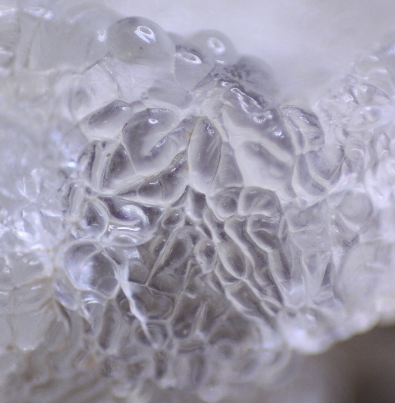 Opal (variety hyalite), Chalcedony and Quartz
Detail. FOV 10mm.
(Autor: Firmo Espinar)