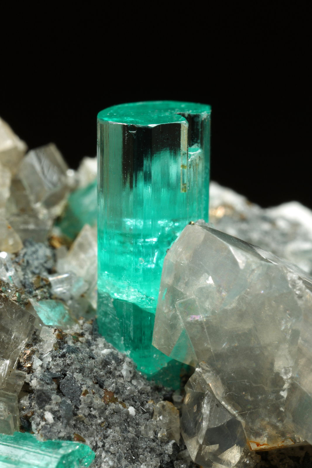 Beryl (variety emerald), Albite (variety cleavelandite), Dolomite, Pyrite
32mm across, main xl=9mm
(Autor: Fiebre Verde)