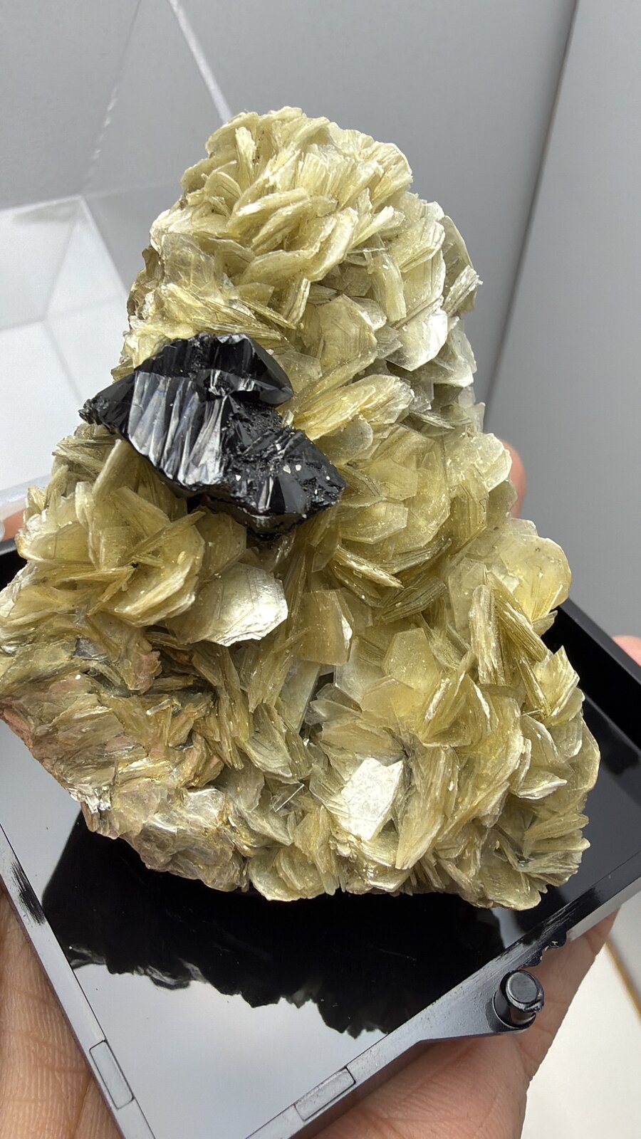 Cassiterite
66mm x 52mm x 36mm
(Autor: QT.JojoGuo)