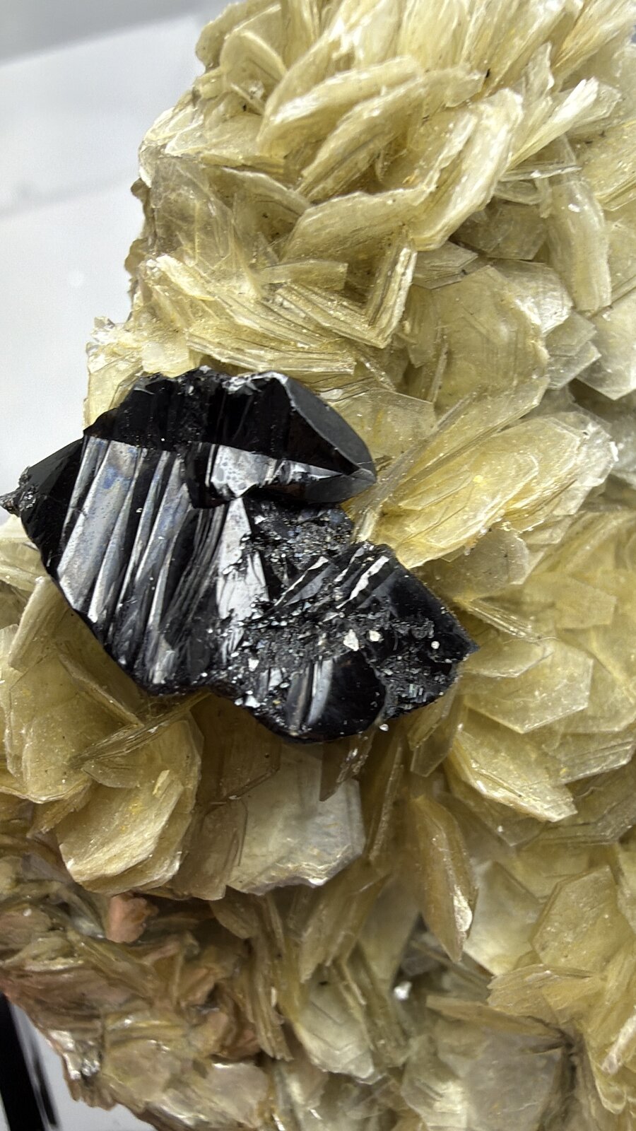 Cassiterite
66mm x 52mm x 36mm
(Autor: QT.JojoGuo)