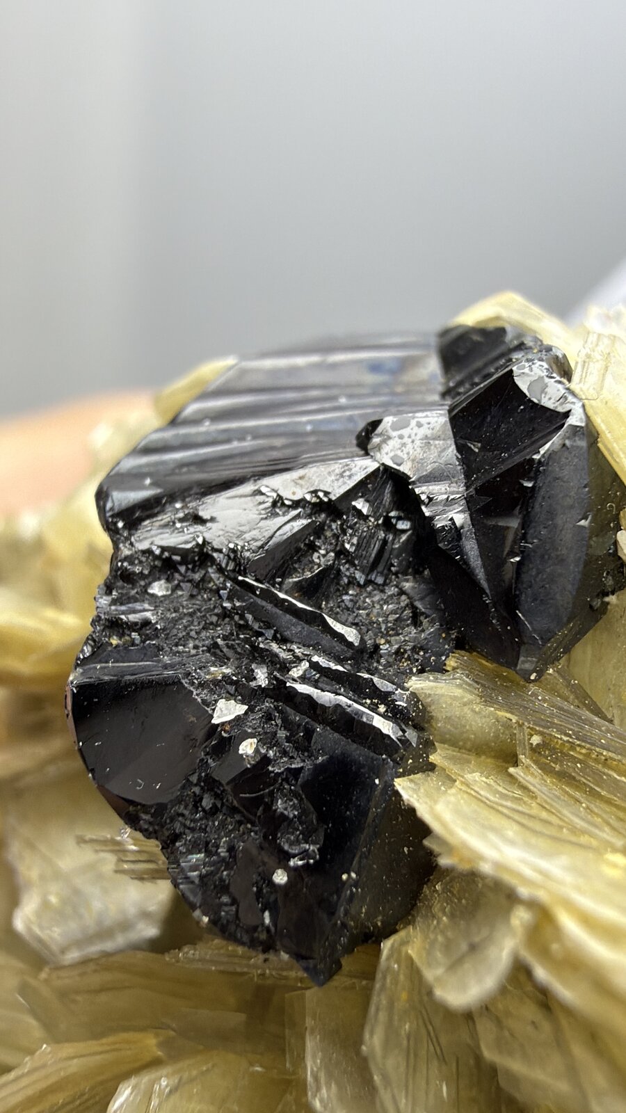 Cassiterite
66mm x 52mm x 36mm
(Autor: QT.JojoGuo)