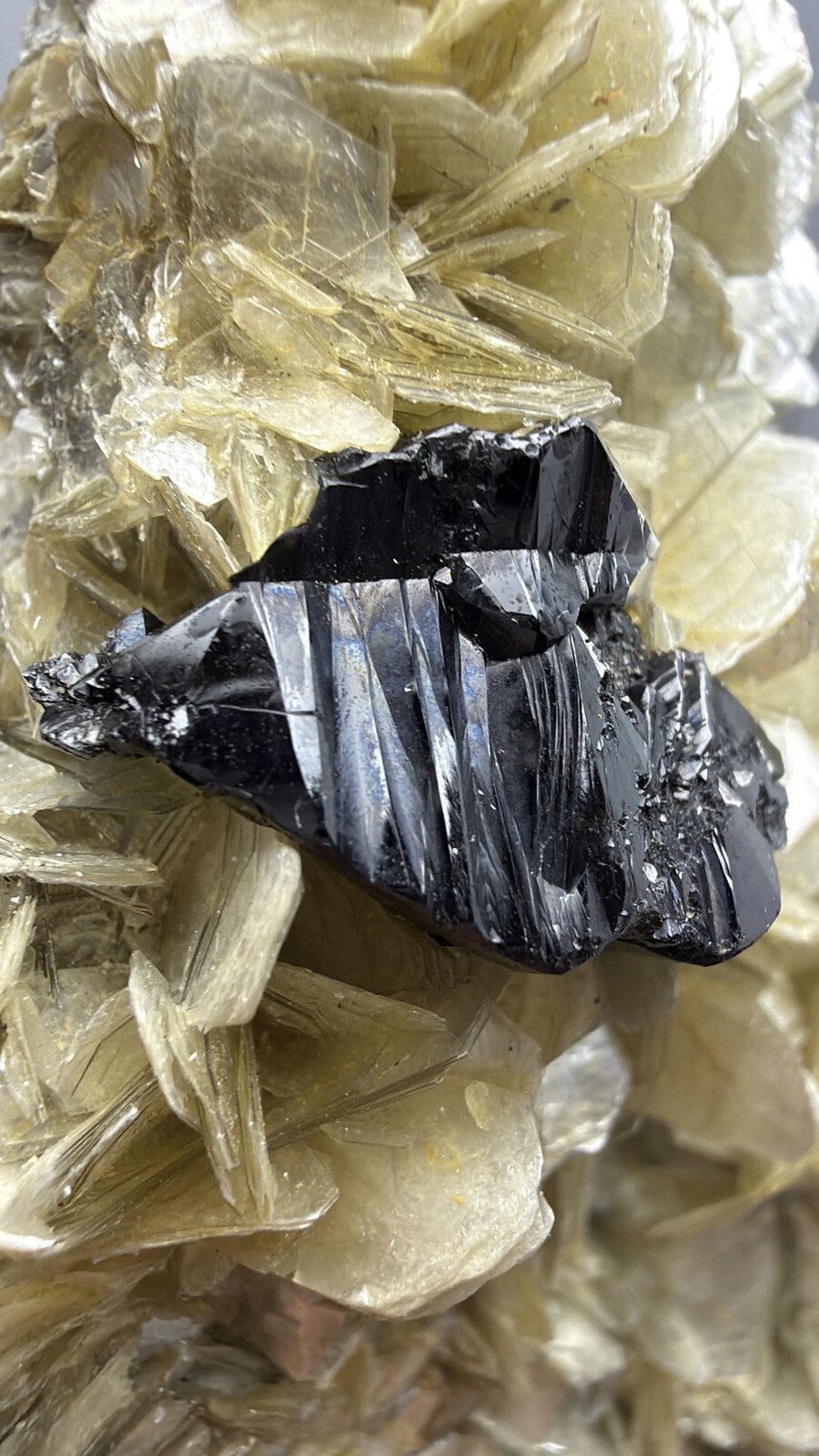 Cassiterite
66mm x 52mm x 36mm
(Autor: QT.JojoGuo)