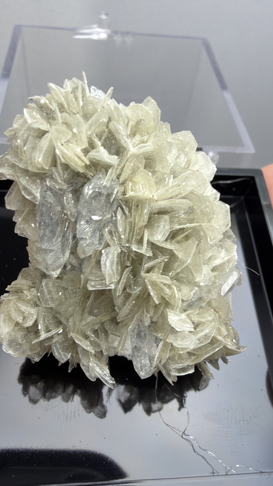 Beryl (variety aquamarine)
35mm x 42mm x 25mm
(Autor: QT.JojoGuo)