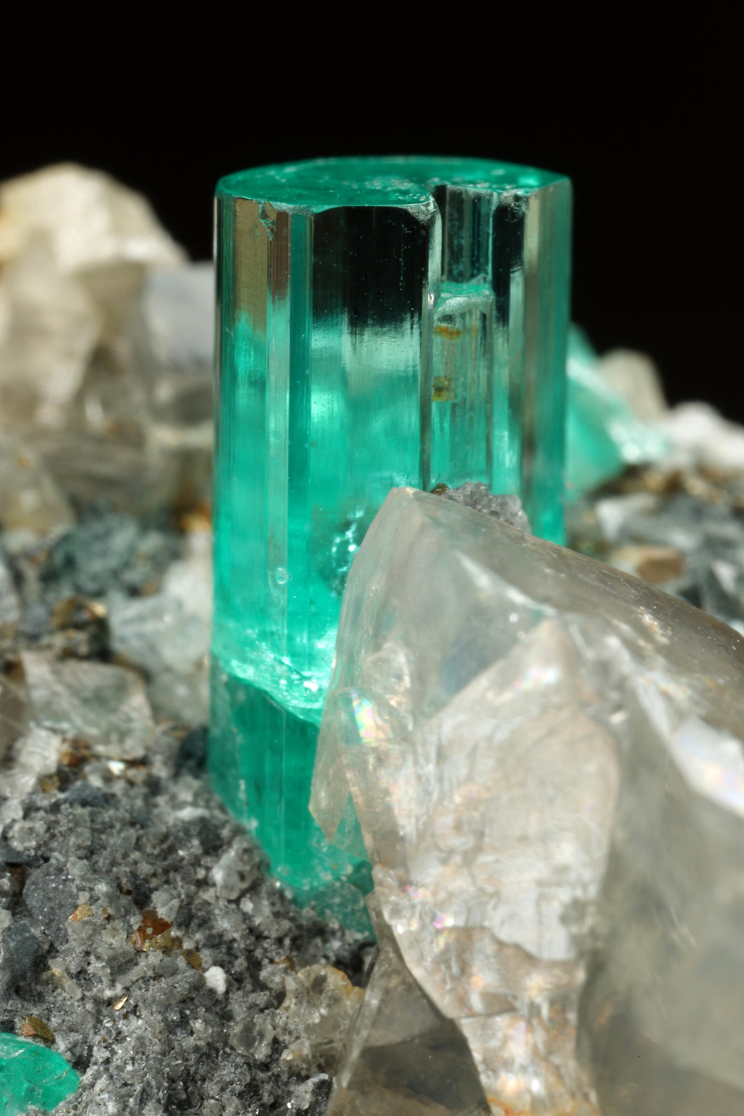 Beryl (variety emerald), Albite (variety cleavelandite), Dolomite, Pyrite
32mm across, main xl=9mm
(Autor: Fiebre Verde)