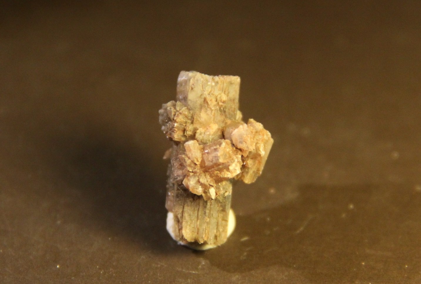 Aragonite
15mm x 25mm x 16mm
(Autor: Firmo Espinar)