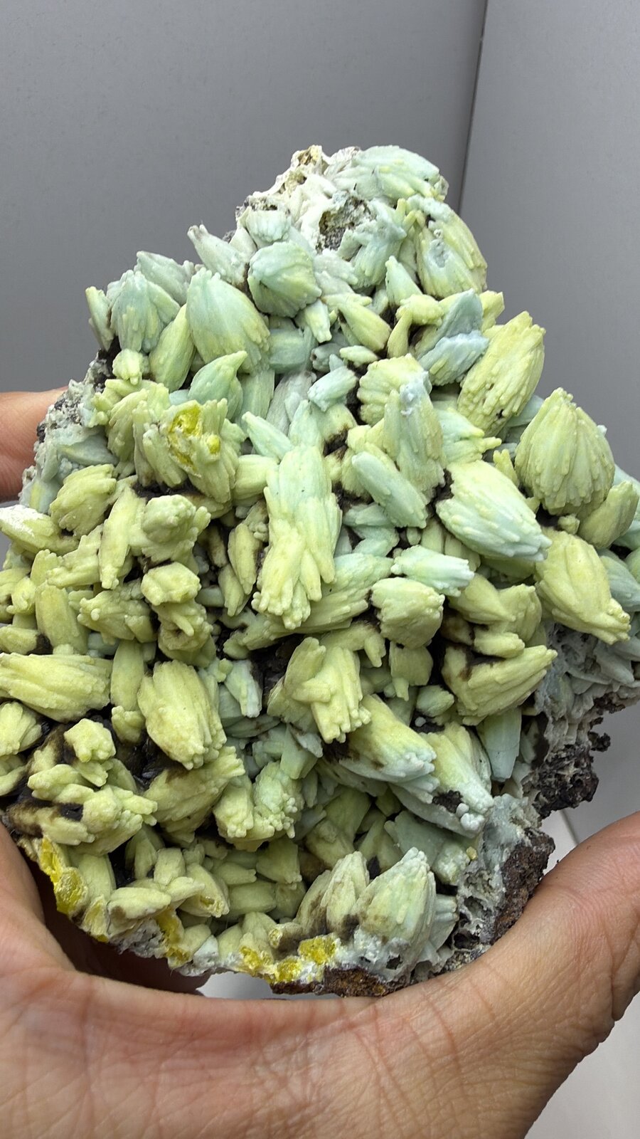 Plumbogummite
91mm x 102mm x 54mm
(Autor: QT.JojoGuo)