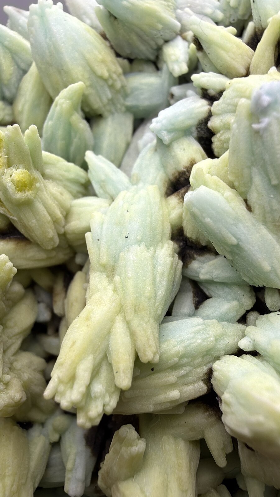 Plumbogummite
91mm x 102mm x 54mm
(Autor: QT.JojoGuo)