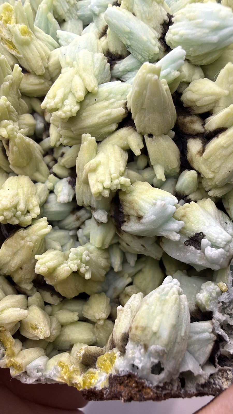 Plumbogummite
91mm x 102mm x 54mm
(Autor: QT.JojoGuo)