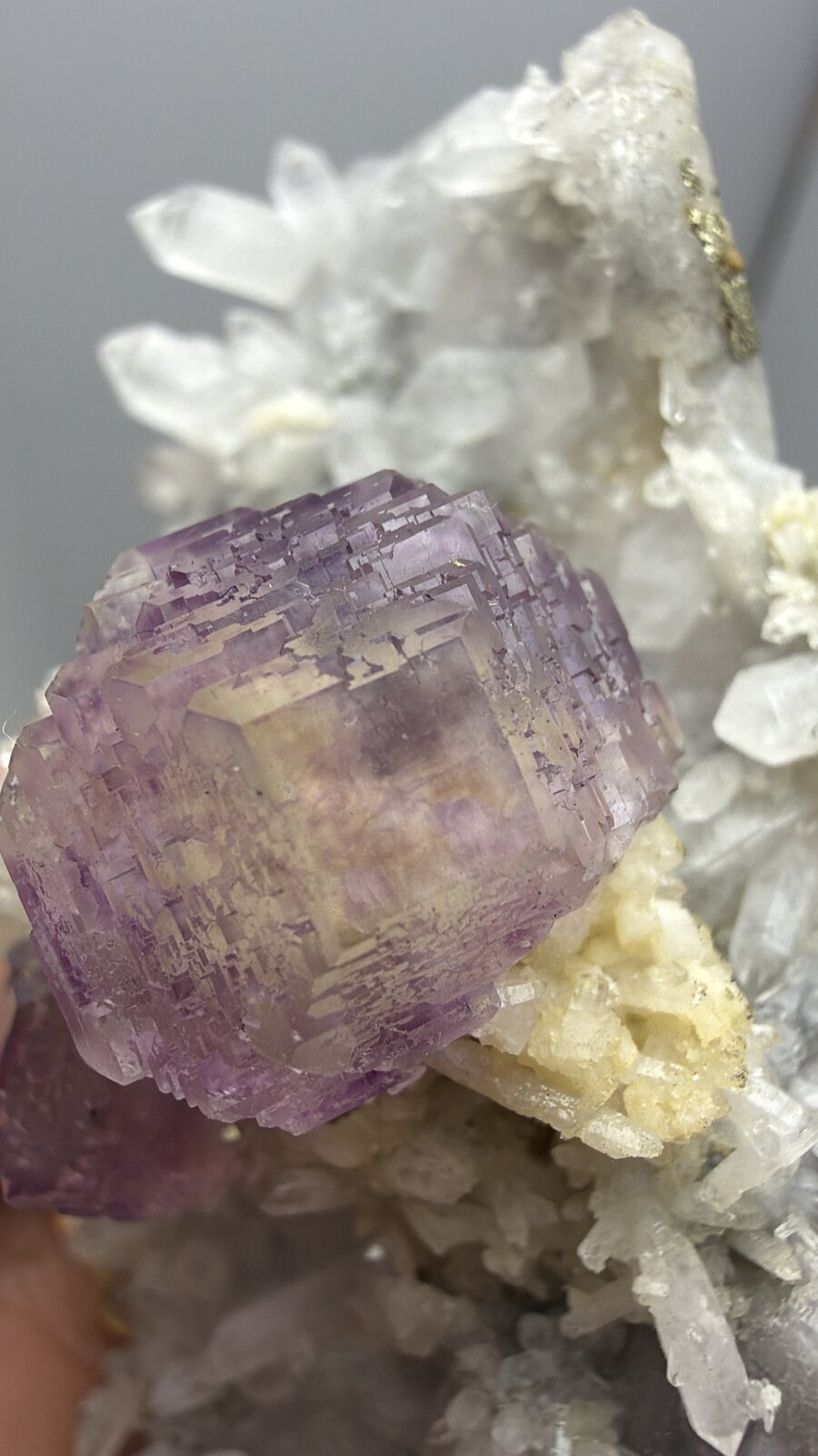 Fluorite, Quartz
80mm x 47mm x 32mm
(Autor: QT.JojoGuo)