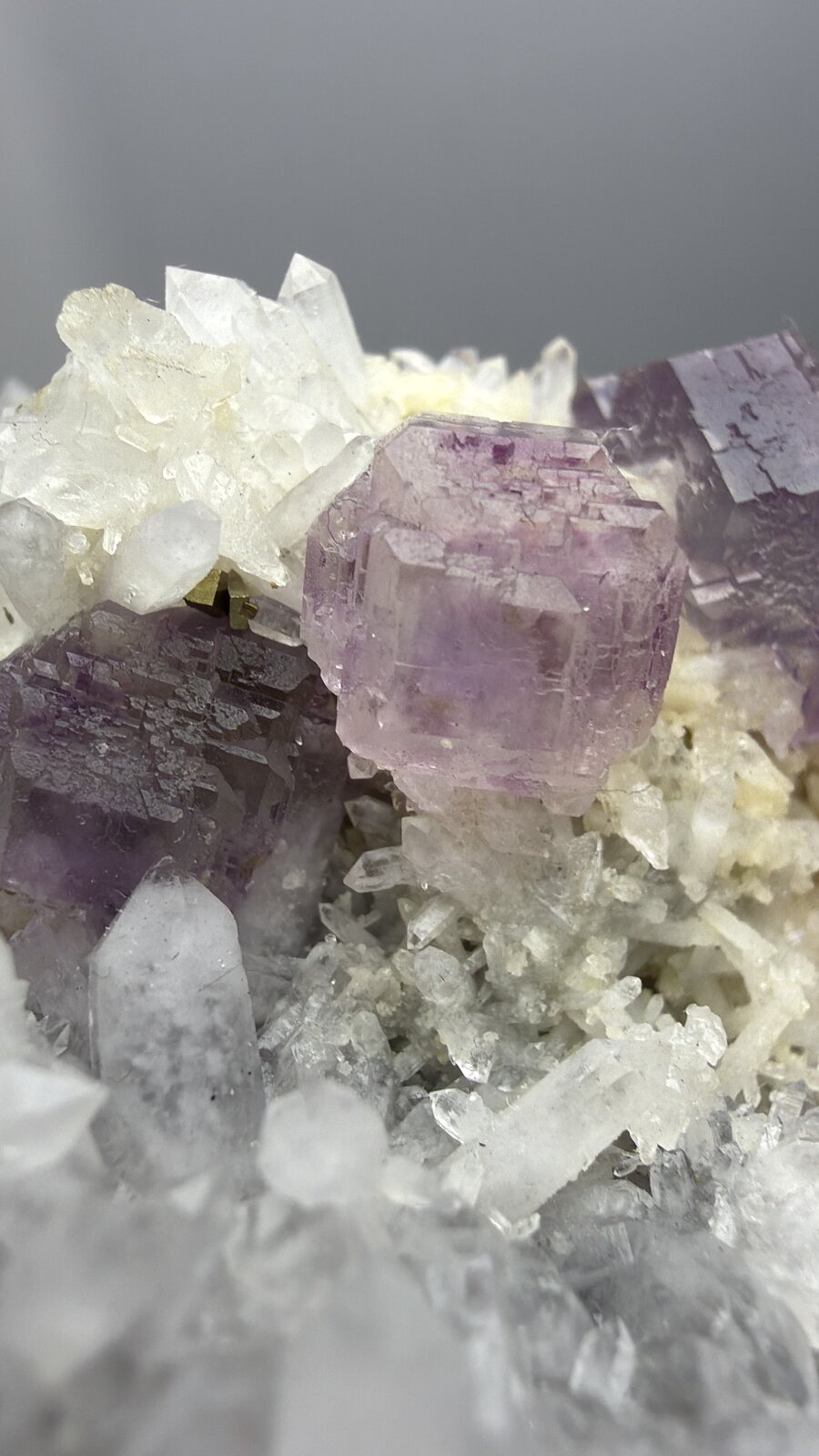 Fluorite, Quartz
80mm x 47mm x 32mm
(Autor: QT.JojoGuo)