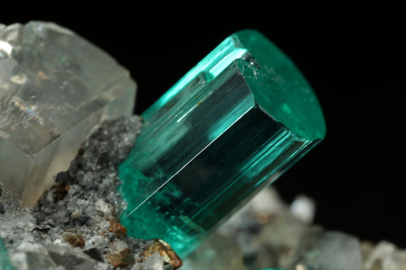 Beryl (variety emerald), Albite (variety cleavelandite), Dolomite, Pyrite
32mm across, main xl=9mm
(Autor: Fiebre Verde)