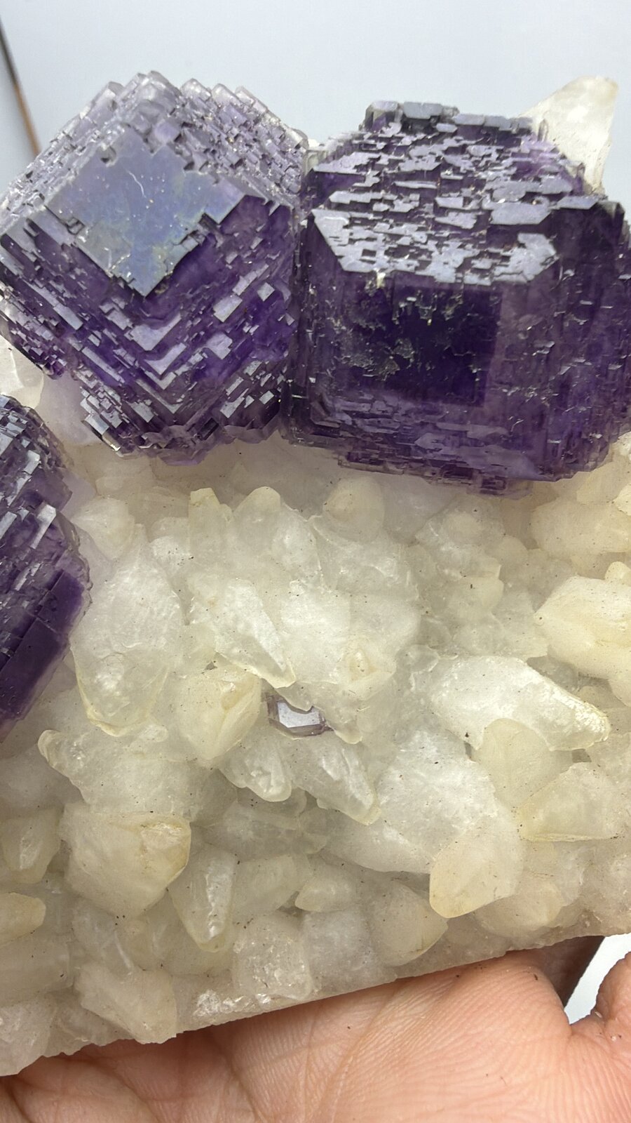 Fluorite, Calcite
76mm x 67mm x 40mm
(Autor: QT.JojoGuo)