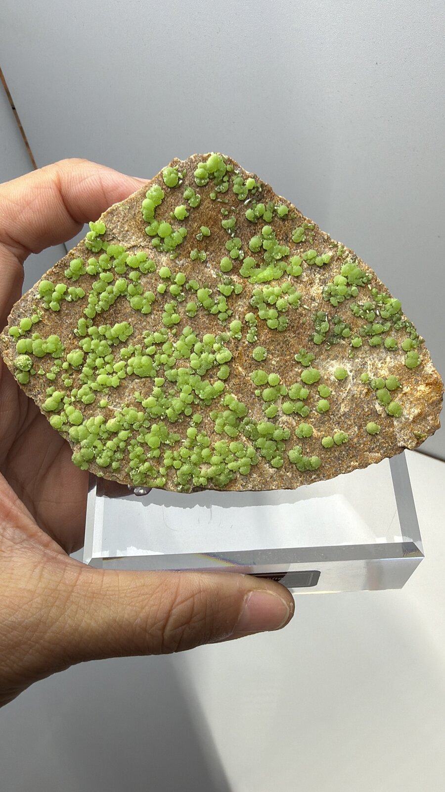 Pyromorphite
93mm x 69mm x 22mm
(Autor: QT.JojoGuo)