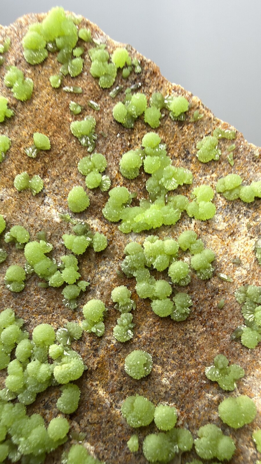 Pyromorphite
93mm x 69mm x 22mm
(Autor: QT.JojoGuo)