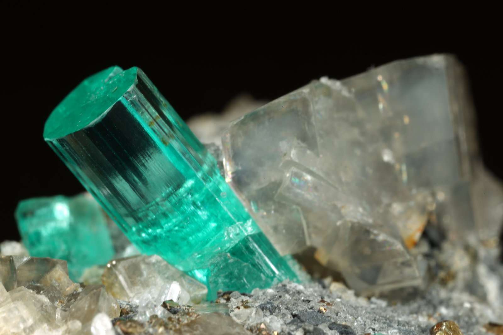 Beryl (variety emerald), Albite (variety cleavelandite), Dolomite, Pyrite
32mm across, main xl=9mm
(Autor: Fiebre Verde)