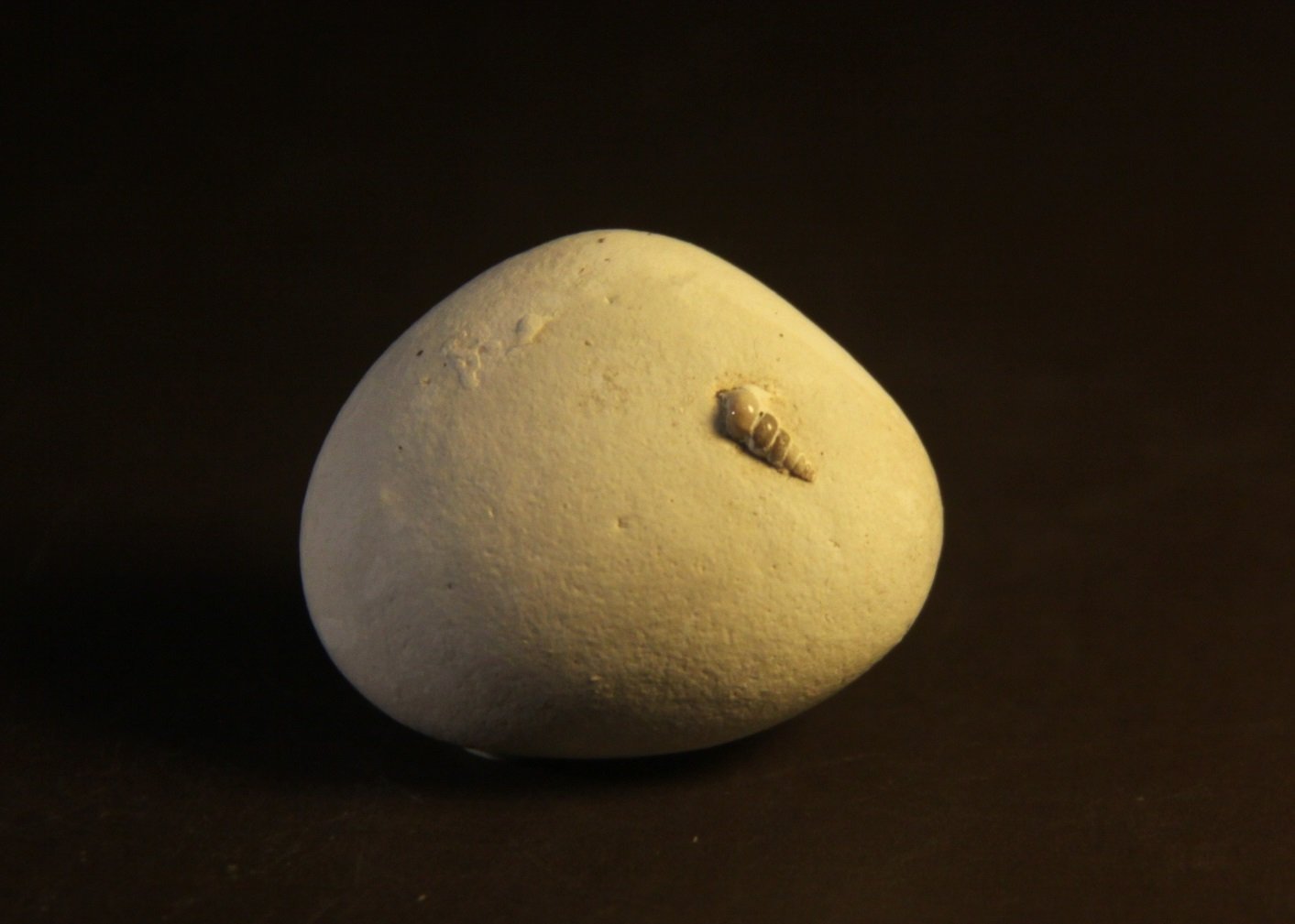 Opal
32mm x 26mm x 15mm
(Autor: Firmo Espinar)
