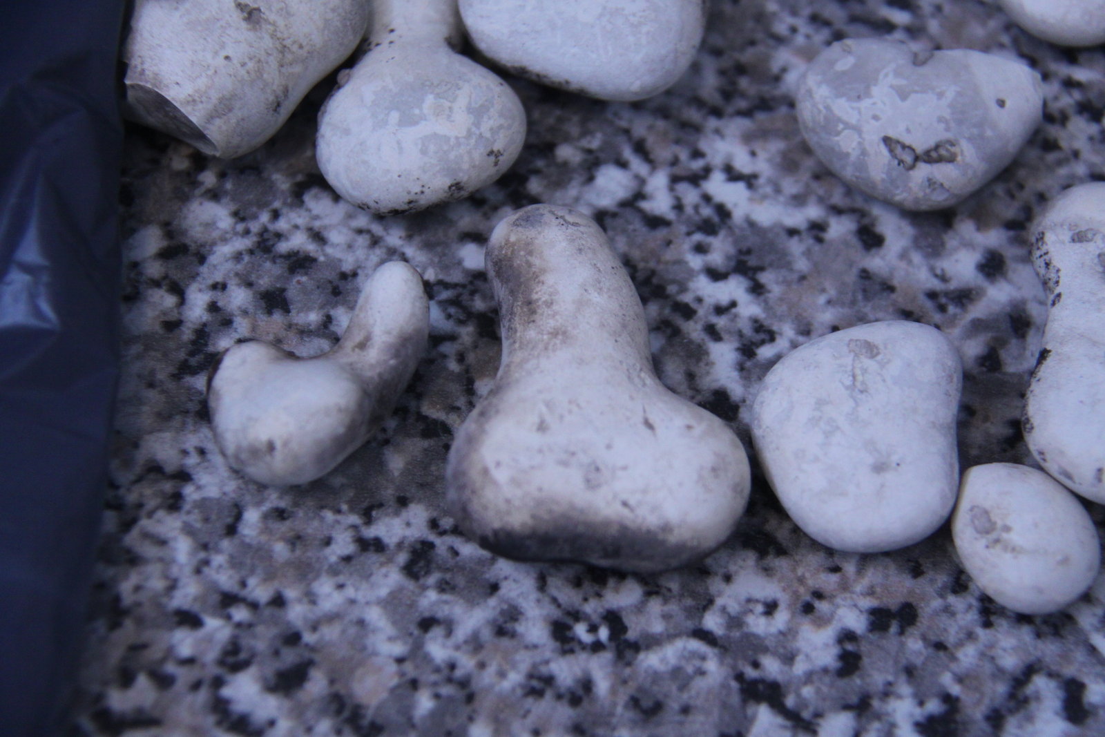 Opal
(Autor: Firmo Espinar)