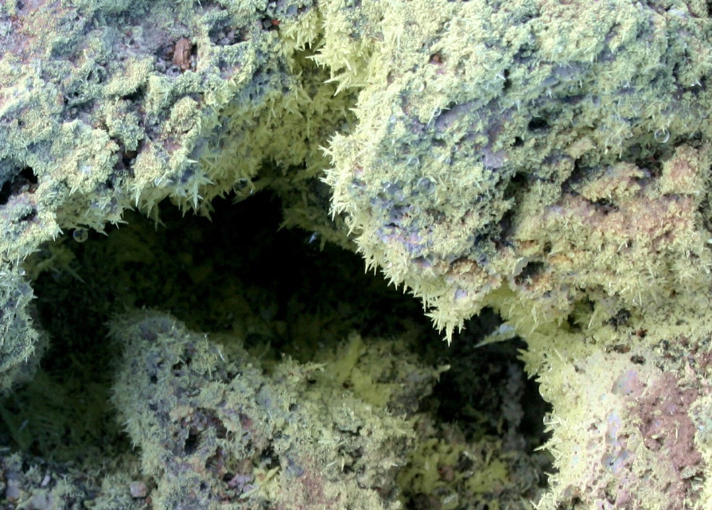 Sulphur
8 cm
(Autor: Jesse Fisher)