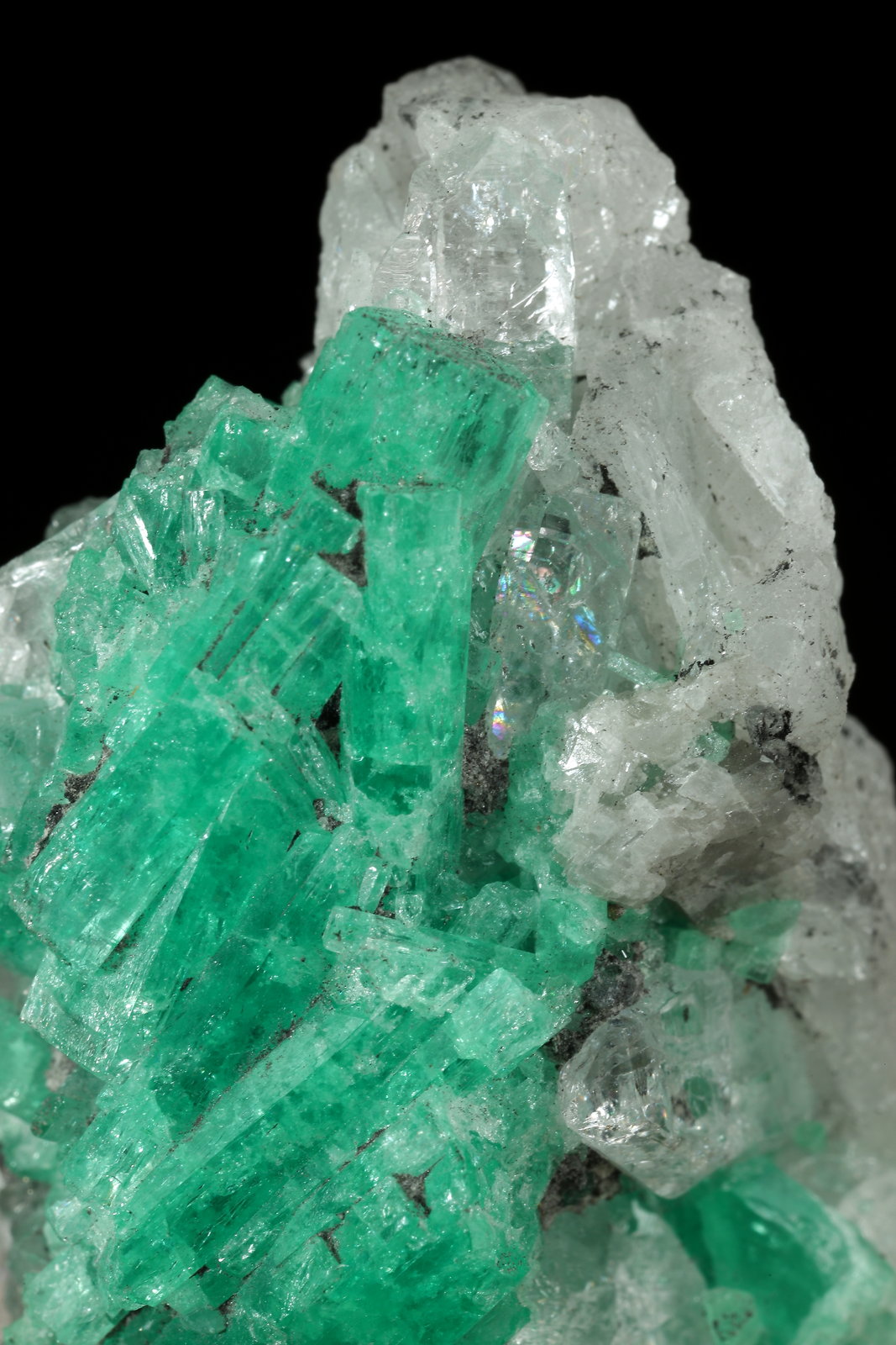 Beryl (variety emerald), Calcite, Pyrite, Quartz
H:44mm x W:25mm
(Autor: Fiebre Verde)