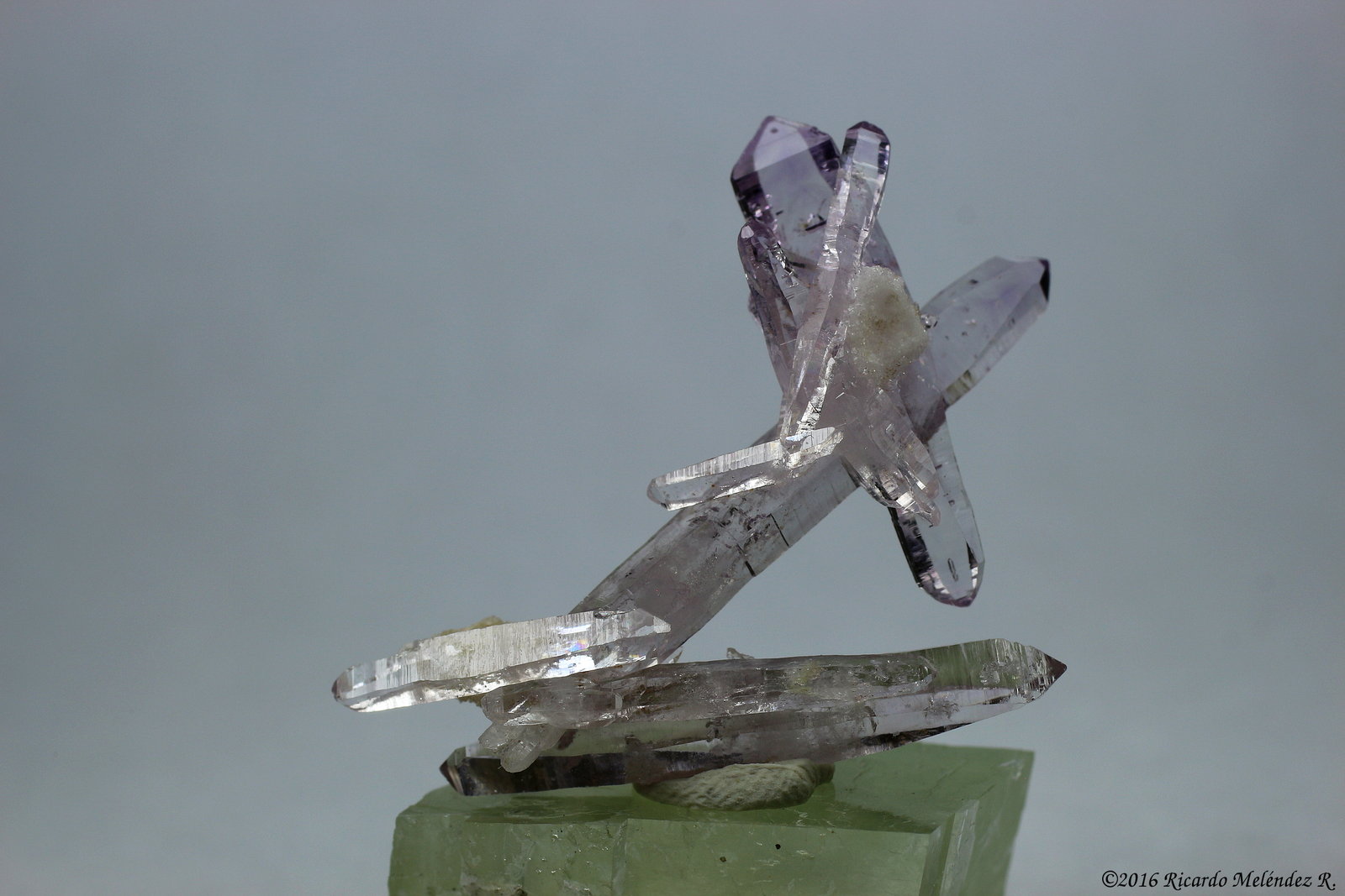 Quartz (variety Amethyst)
3.1 x 3.8 x 1 centimeters
(Autor: Ricardo Melendez)