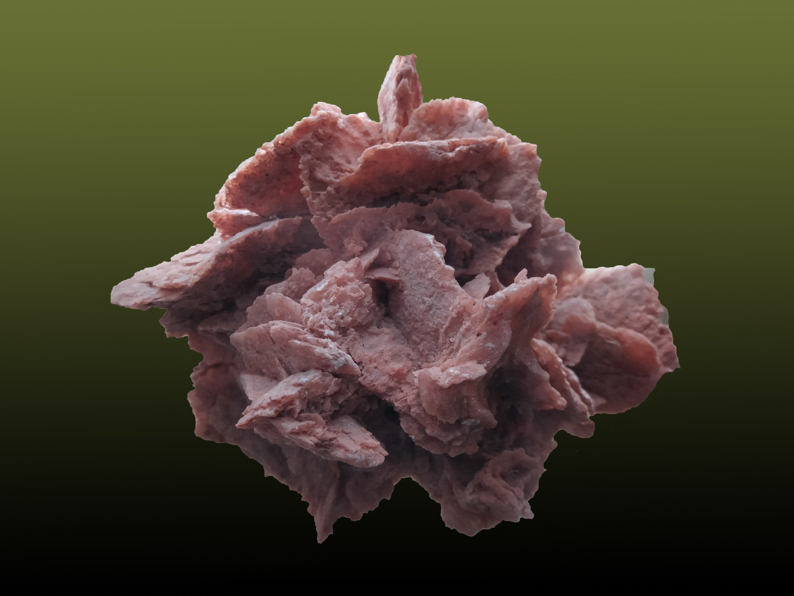 Gypsum
85 mm x 66 mm x 53 mm
(Autor: Firmo Espinar)