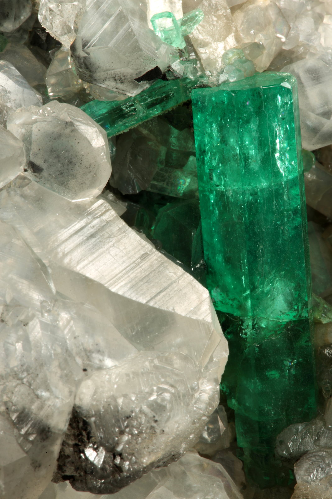 Beryl (variety emerald), Calcite
110x85x85mm, xl=30mm
(Autor: Fiebre Verde)