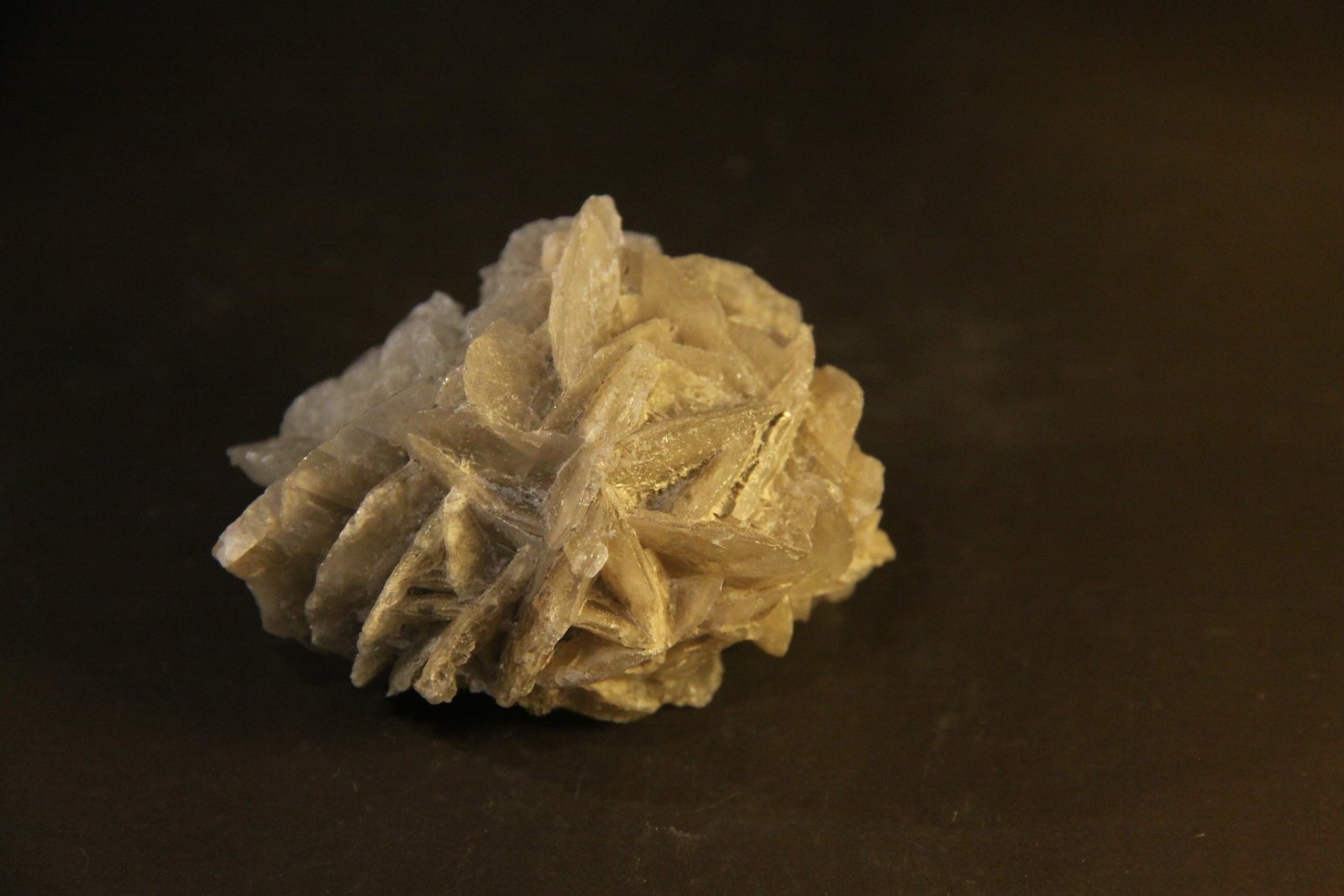 Gypsum
50mm x 32mm x 40mm
(Autor: Firmo Espinar)