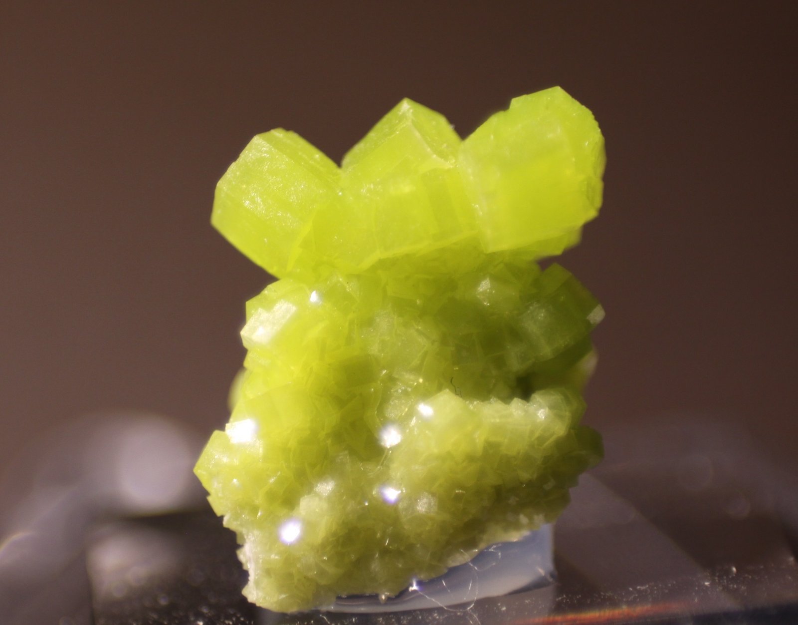 Pyromorphite
12mm x 14mm x 7mm
(Autor: Firmo Espinar)