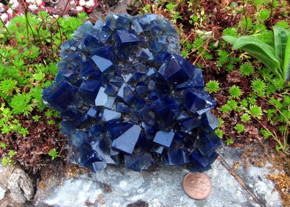fluorite
12 cm across
(Autor: Jesse Fisher)