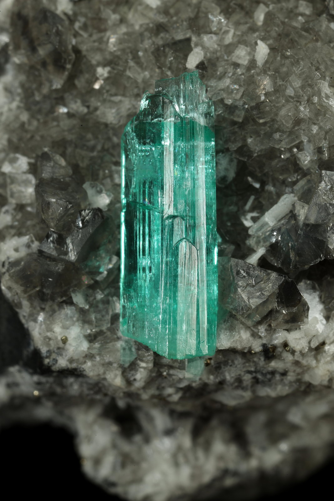 Beryl (variety emerald), Calcite, Dolomite, Pyrite
32x41x31mm, xl=15mm
(Autor: Fiebre Verde)