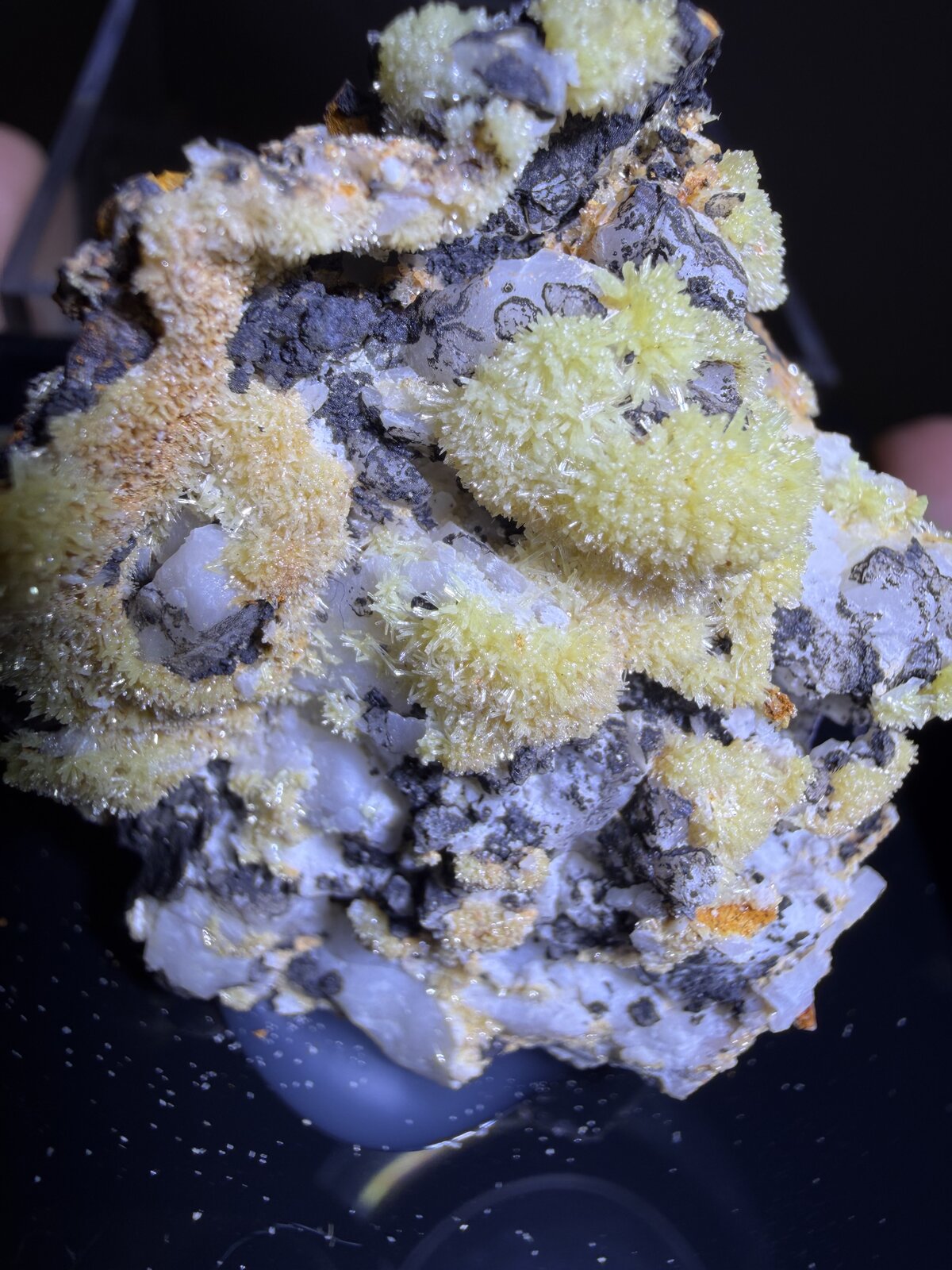 Pyromorphite
Prefectura Wuzhou, Región Autónoma Guangxi Zhuang, China
57mm x 43mm x 20mm
(Autor: QT.JojoGuo)