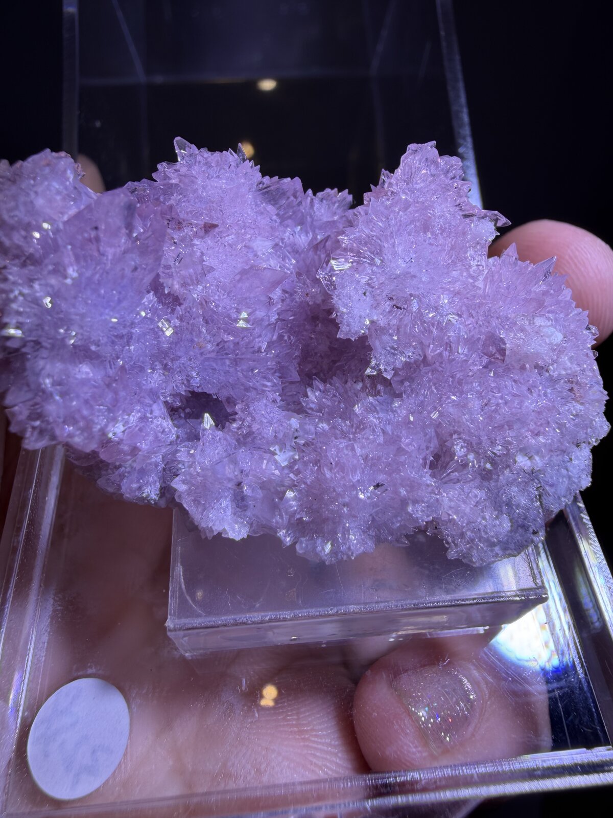 Creedite
Mina Qinglong, Dachang, Qinglong, Prefectura Autónoma Qianxi'nan, Provincia Guizhou, China
43mm x 30mm x 18mm
(Autor: QT.JojoGuo)