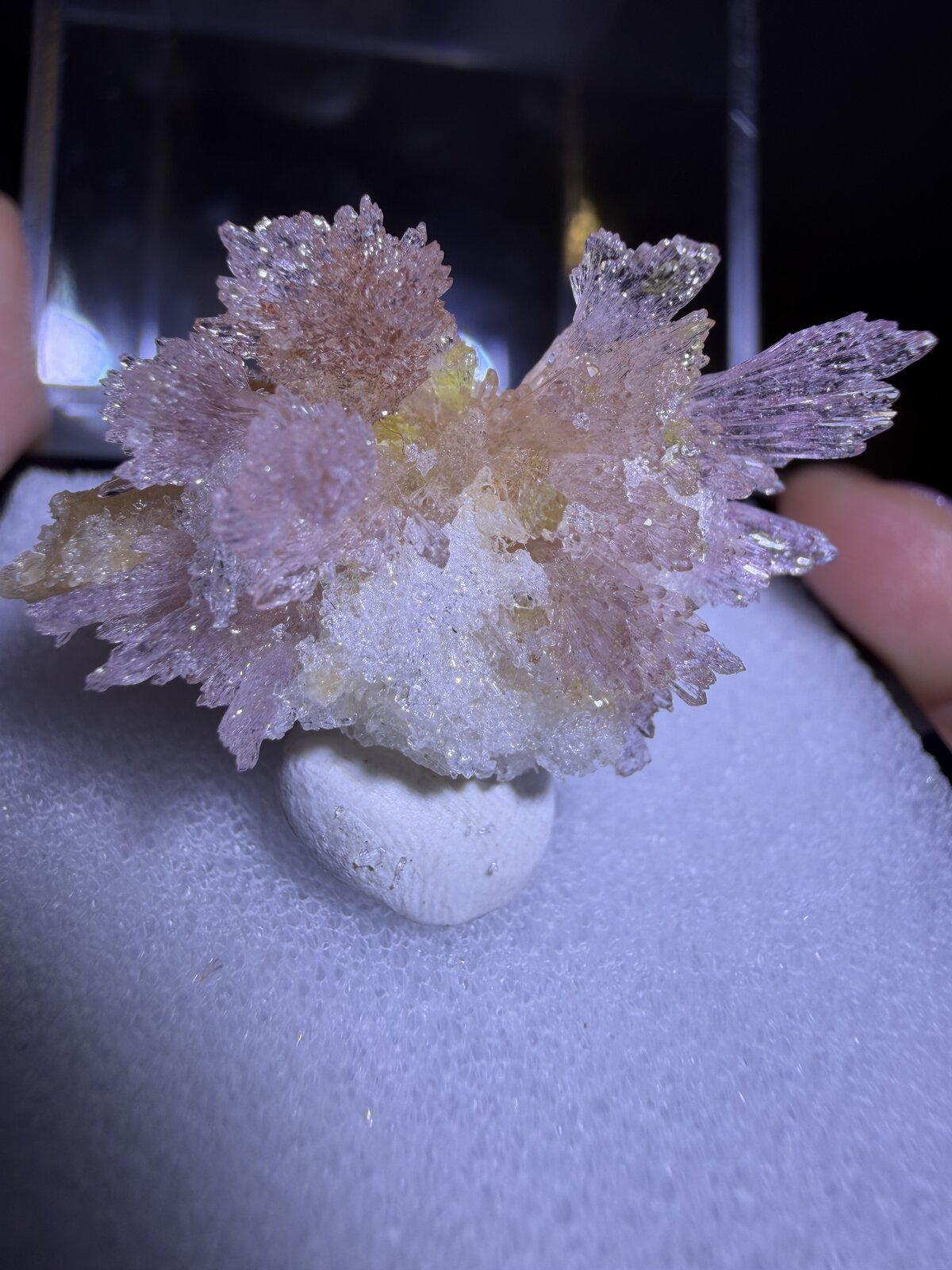 Creedite
Mina Qinglong, Dachang, Qinglong, Prefectura Autónoma Qianxi'nan, Provincia Guizhou, China
14mm x 15mm x 8mm
(Autor: QT.JojoGuo)