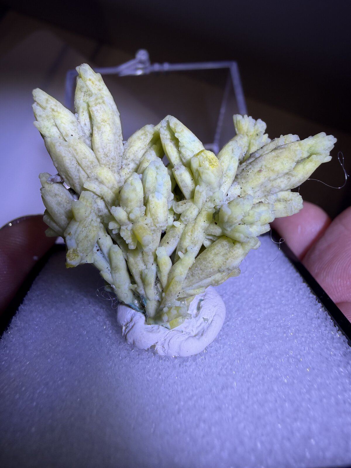 Plumbogummite
Wuzhou Prefecture, Guangxi Zhuang Autonomous Region, China
38mm x 40mm x 5mm
(Autor: QT.JojoGuo)