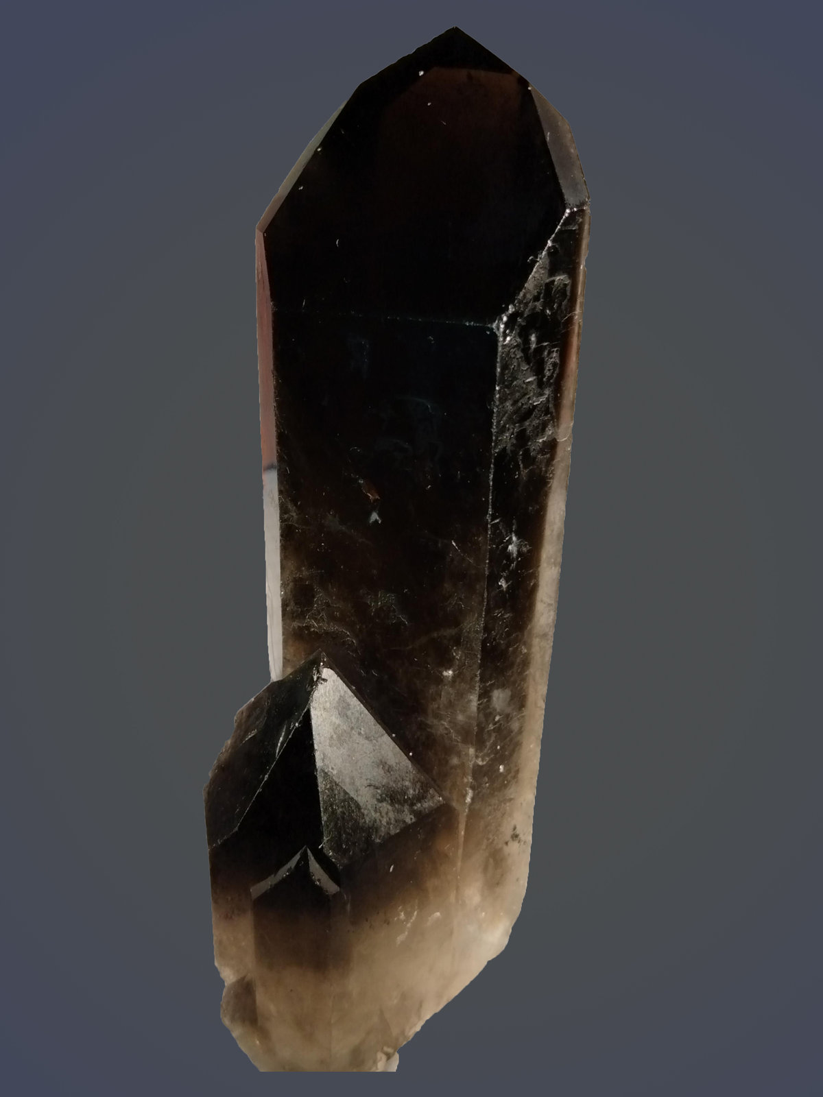 Quartz (variety smoky)
47 mm x 123 mm x 36 mm
(Autor: Firmo Espinar)