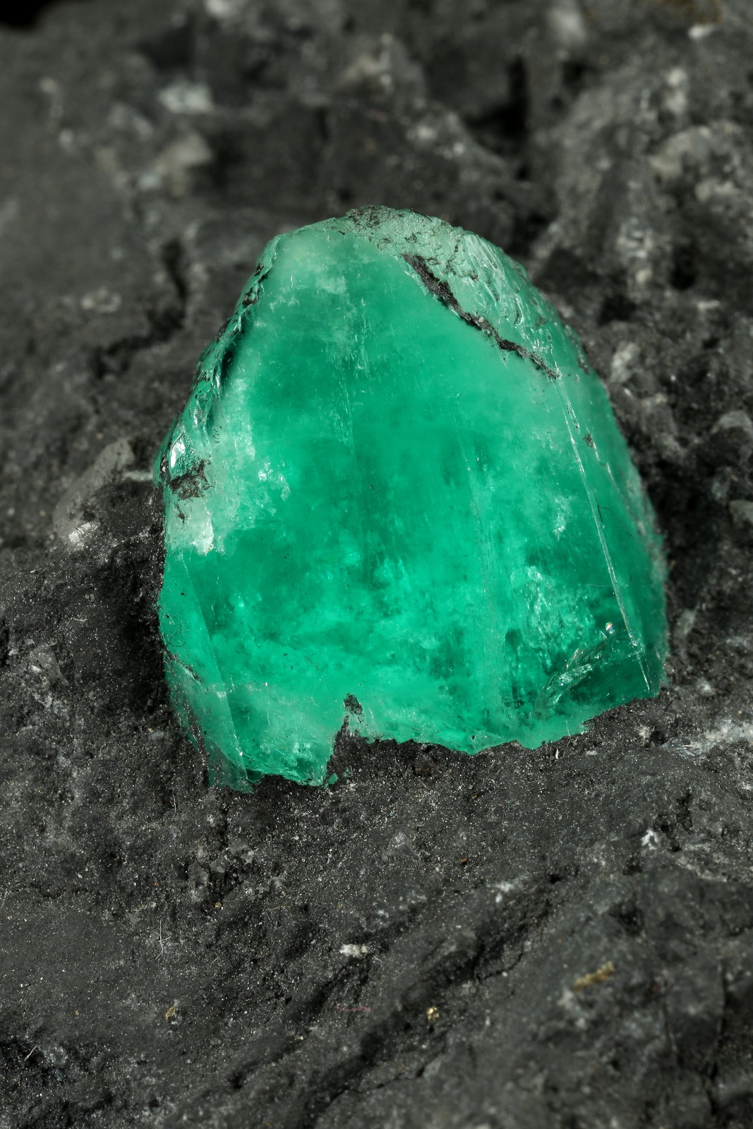 Beryl (variety emerald), Pyrite
70x48x23mm, xl=12x11mm
(Autor: Fiebre Verde)