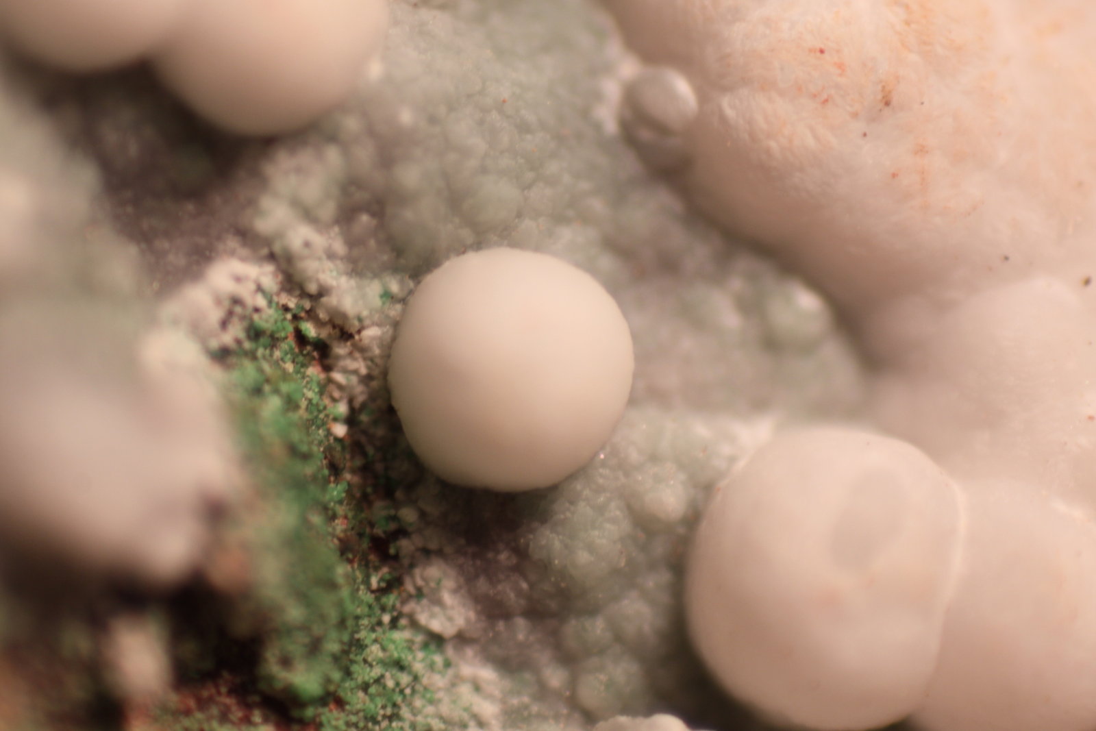Calcite
FOV = 10 mm.
(Autor: Firmo Espinar)