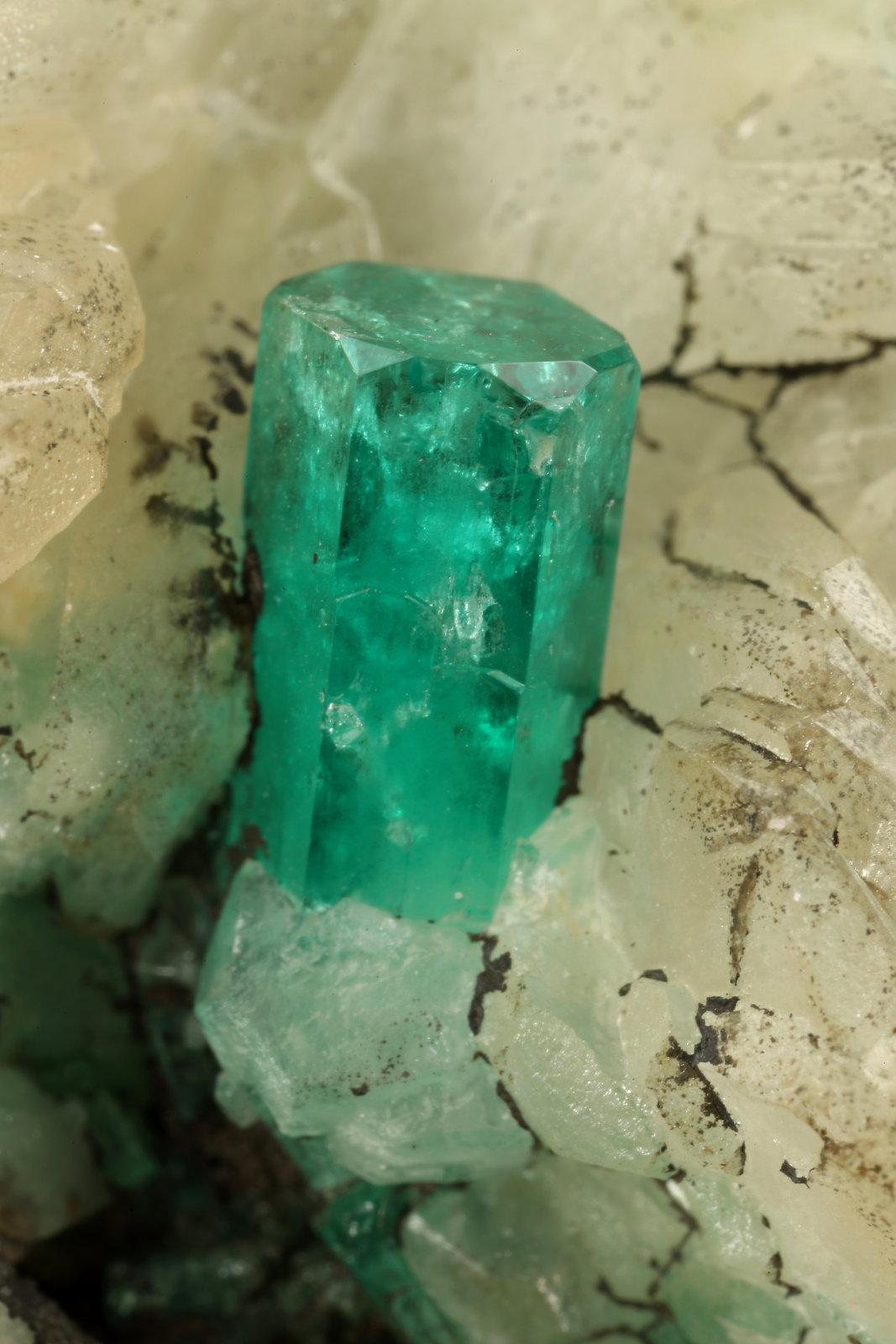 Beryl (variety emerald), Calcite, Quartz, Goethite
49x52x70mm, main xl=7x4mm
(Autor: Fiebre Verde)