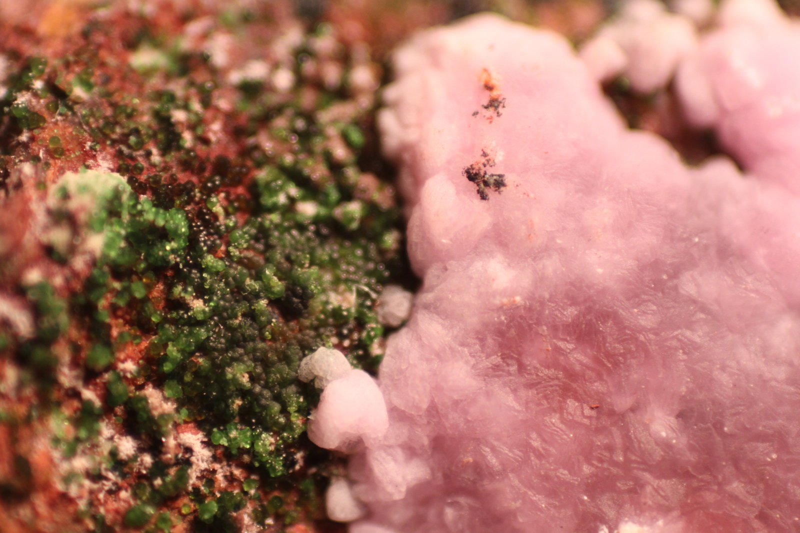 Calcite and Conichalcite.
10 cm x 6 cm x 4 cm
(Autor: Firmo Espinar)