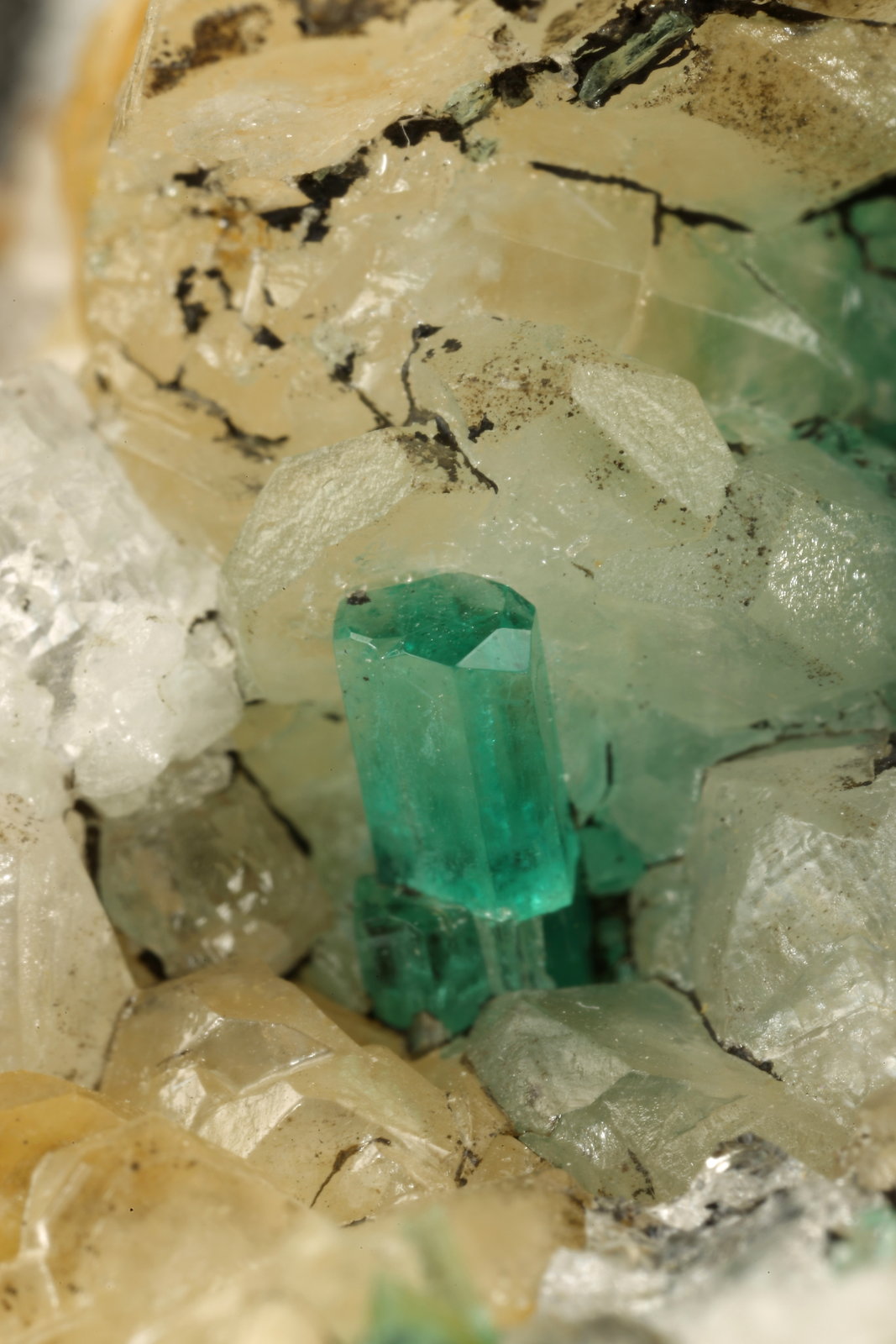 Beryl (variety emerald), Calcite, Quartz, Goethite
49x52x70mm, main xl=7x4mm
(Autor: Fiebre Verde)