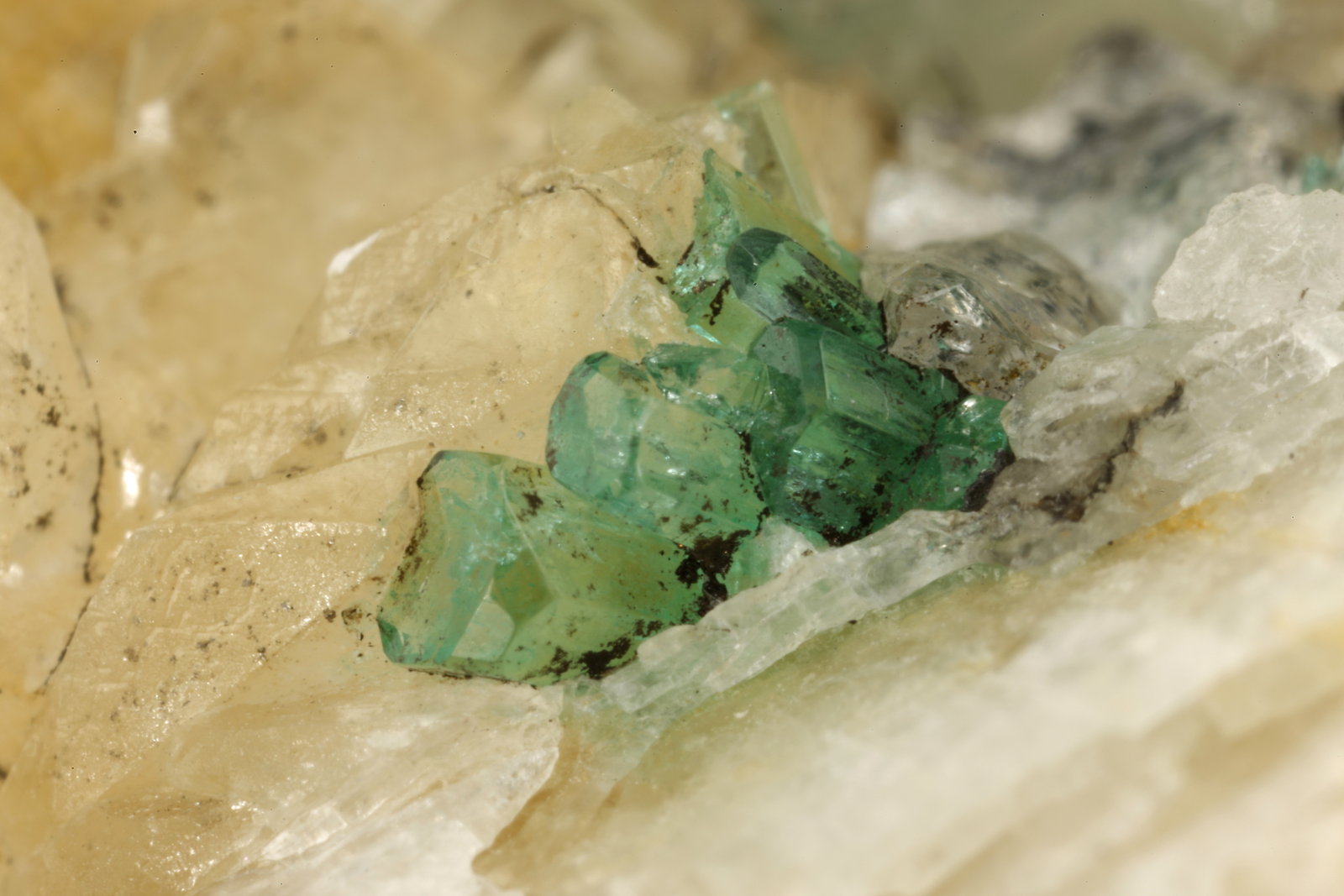 Beryl (variety emerald), Calcite, Quartz, Goethite
49x52x70mm, main xl=7x4mm
(Autor: Fiebre Verde)