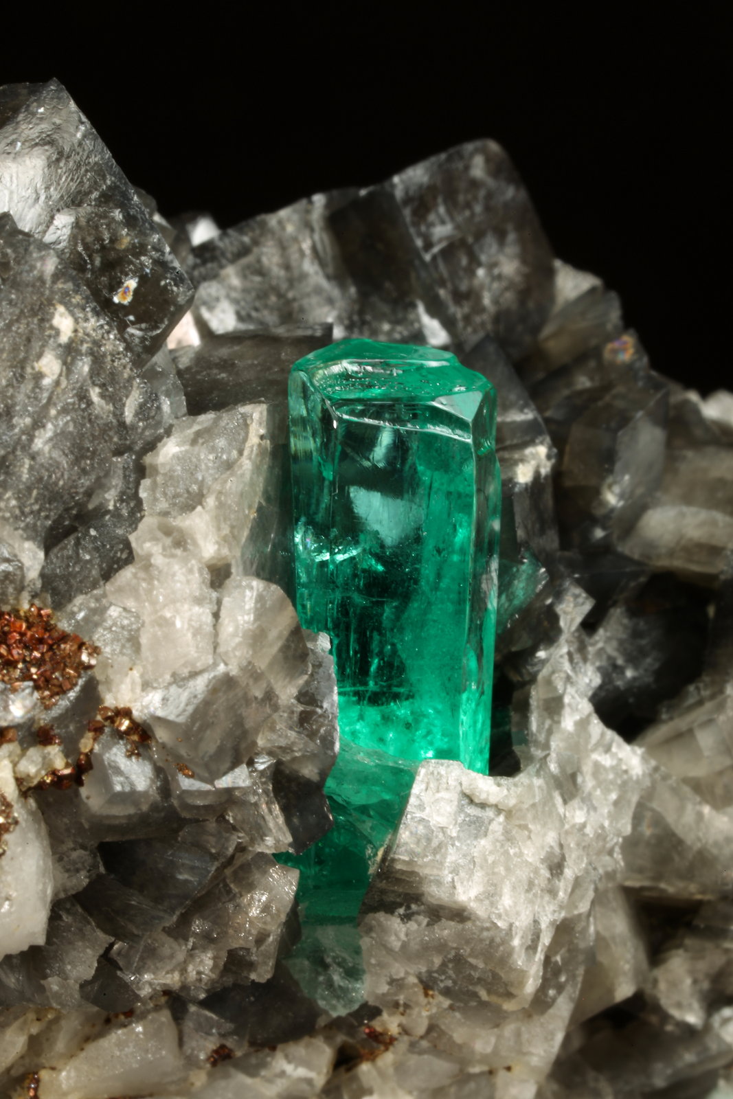 Beryl (variety emerald), Calcite, Pyrite
67x47x55mm, xl=19mm
(Autor: Fiebre Verde)