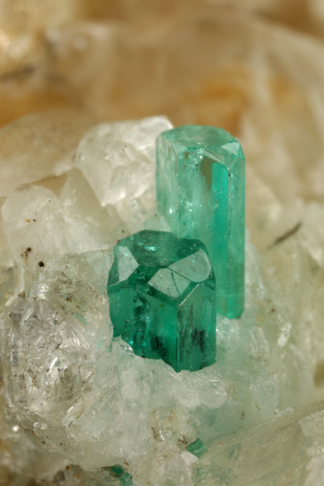 Beryl (variety emerald), Calcite, Quartz, Goethite
49x52x70mm, main xl=7x4mm
(Autor: Fiebre Verde)