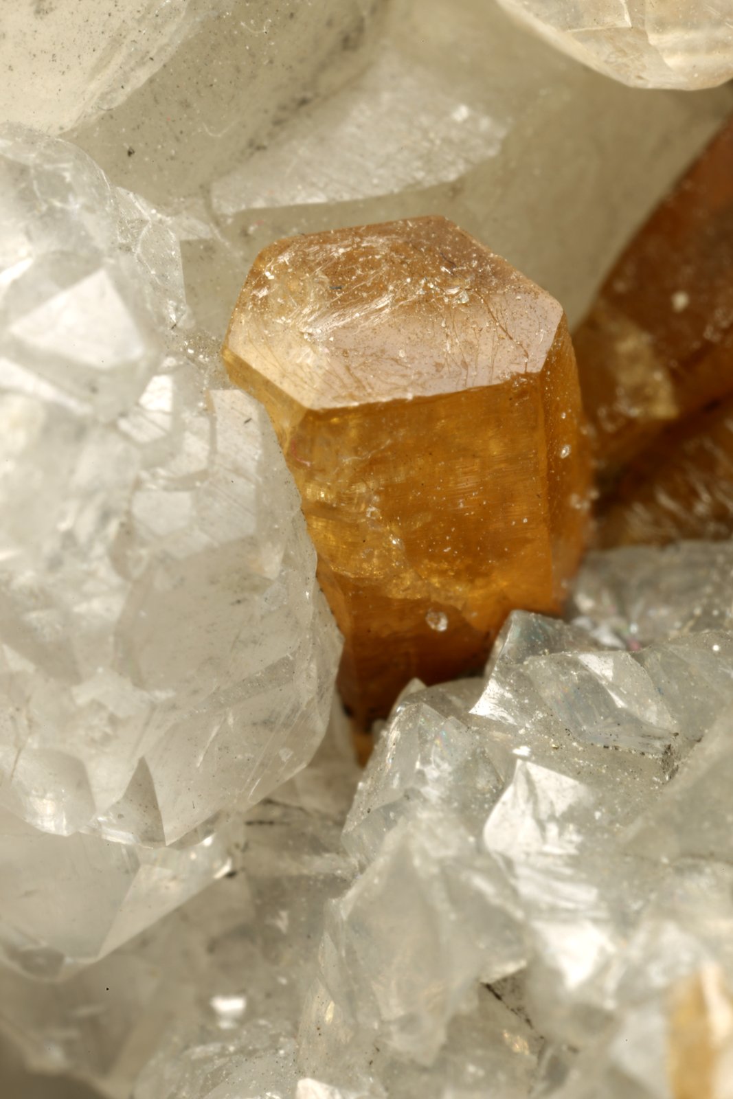 Beryl (variety emerald), Calcite, Parisite
Detail - H=5mm
(Autor: Fiebre Verde)