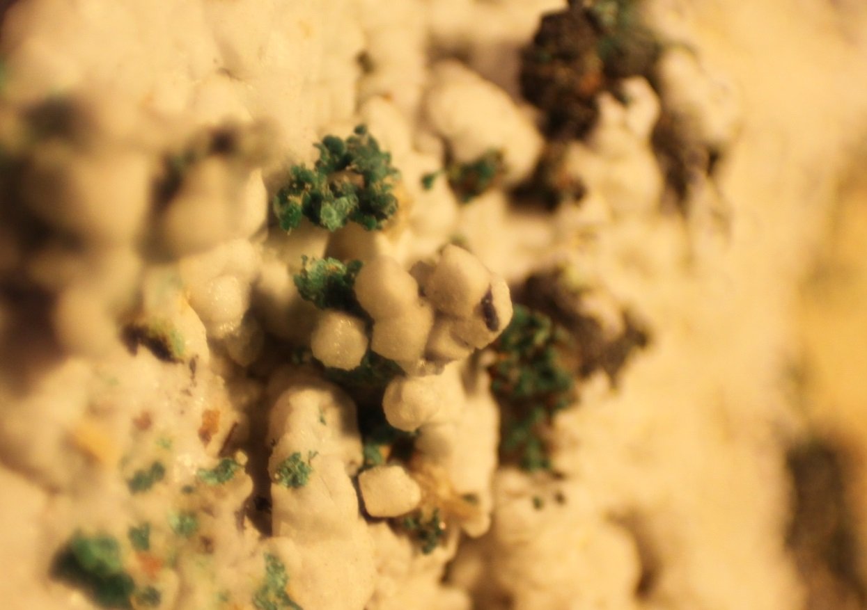 Malachite and Aragonite
FOV 7 mm
(Autor: Firmo Espinar)